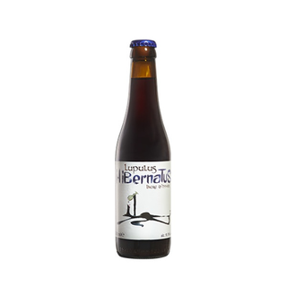 Lupulus hibernatus scura stile dubbel 33 cl