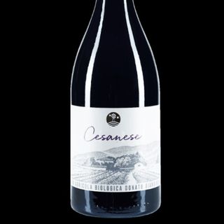 Cesanese Bio Giangirolami - Lazio 75 cl