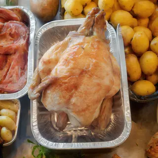 Pollo