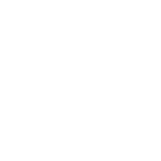 N17. Nigiri Phila cipolla