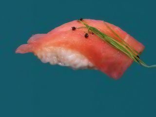 49. Nighiri tonno - 2 pezzi