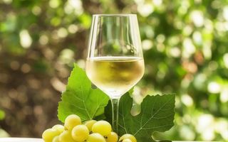 Vermentino di Gallura 37 cl