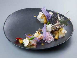 Yuzu Matcha Torifu Sashimi