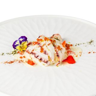 046 Polpo in schiuma