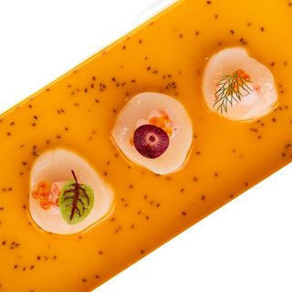 218. Carpaccio Capesante