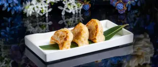 Gyoza Yaki - 4pz