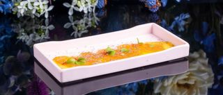 Salmon e Chocolate
