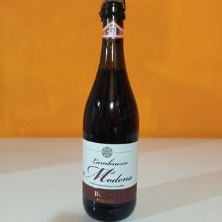 Lambrusco di Modena Rosso D.O.C 2022 75 cl 10,5%