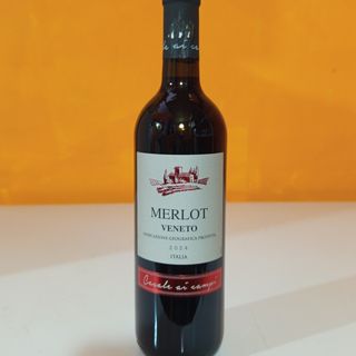 Merlot Veneto Rosso D.O.C 2021 75 cl 11,5g
