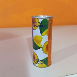 Best Succo di Mango lattina 250 ml
