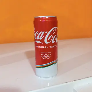 Coca Cola Lattina 330 ml
