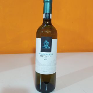 Müller Thurgau Trevenezie Bianco IGT