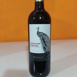 Sangiovese Rubicone IGP Rosso  11.5%