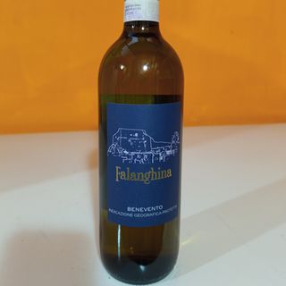 Falanghina Benvevento IGP Bianco 12,5% 2024