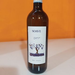 Soave DOP Bianco 11,5% 2023