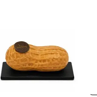 Arachide(Frutta Realistica)