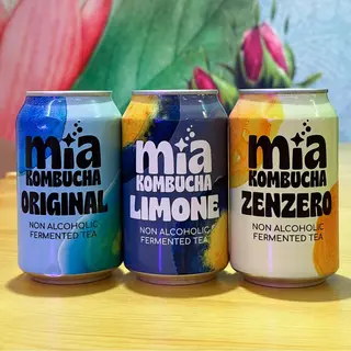 Kombucha 33cl - Scegli il gusto!