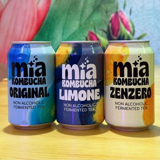 Kombucha 33cl - Scegli il gusto!