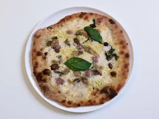 Campagnola
