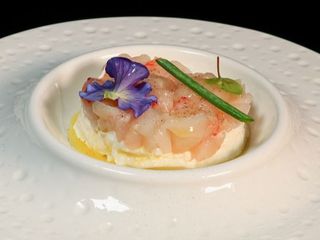 65 Tartare gambero burrata