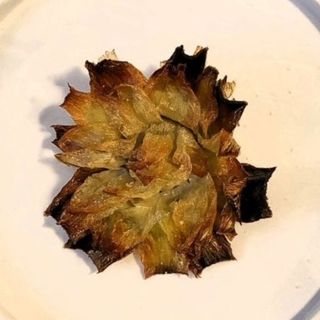 FIORE DI CARCIOFO FRITTO