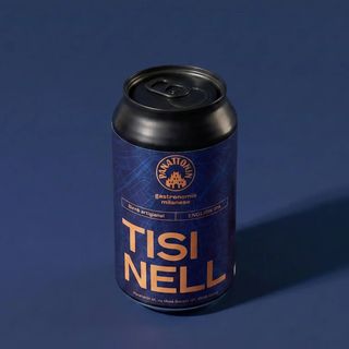 TISINELL  PANATTONIN ENGLISH IPA 33cl