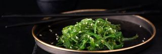 Alga Wakame