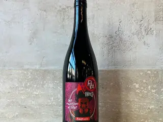 Vino rosso Barbera 100%