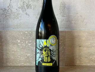 Vino bianco Gavi 100%