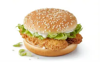 Vegetarian burger