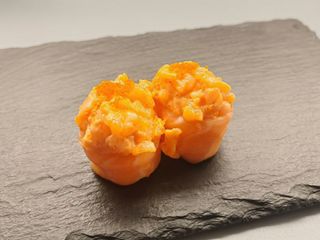 Gunkan spy salmon
