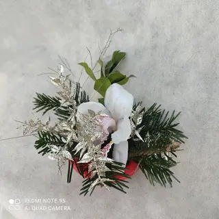 Orchidea