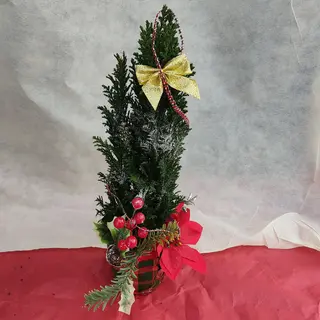 Alberello di Natale