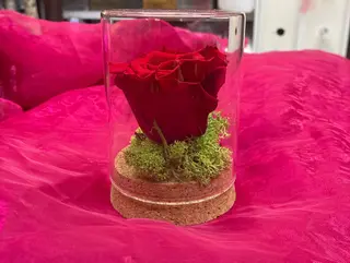 Rosa rossa stabilizzate