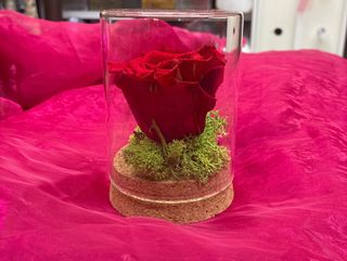 Rosa rossa stabilizzate