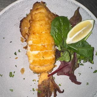 Calamaro grill con contorno
