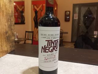 Promo Tinto Negro- Malbec Argentino