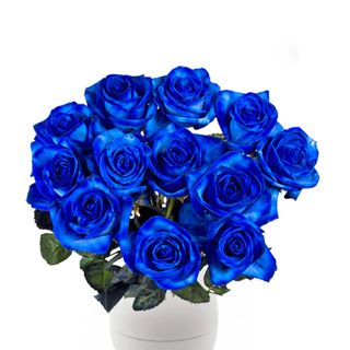 12 Rose Blu
