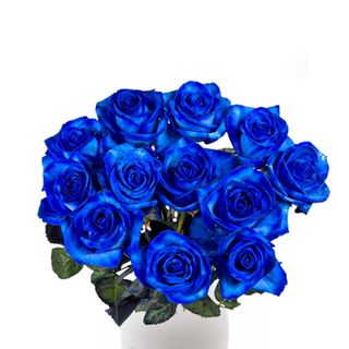 5 rose blu