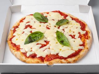 Margherita tonda S.g.