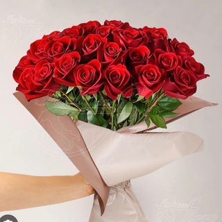 Sorpresa di 50 rose rosse 