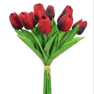 10 tulipani 005