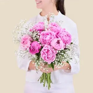 Peony Dream
