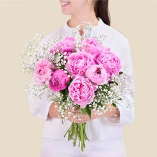 Peony Dream
