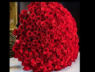 500 ROSE Rosse” for my love “