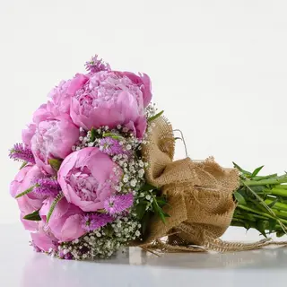 Glamour Peonia colore disponibile