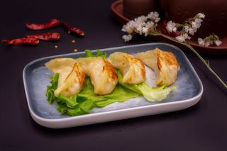 Ravioli di carne alla griglia/锅贴