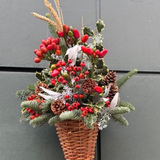 Cornucopia natalizio