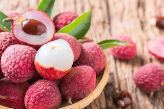 Litchi