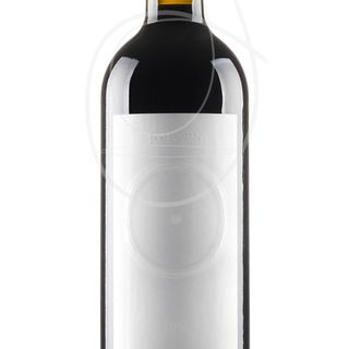 Lambrusco d.o.c. 